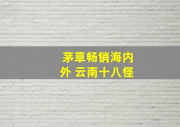 茅草畅销海内外 云南十八怪